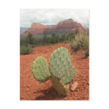 Prickly pear cactus in Sedona, Arizona - Postcard
