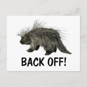 Cartão Postal Prickly Porky