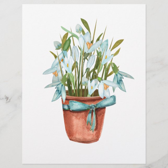 cartão postal primavera (Frente)