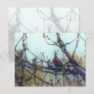 Cartão Postal Primavera