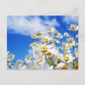 Cartão Postal Primavera