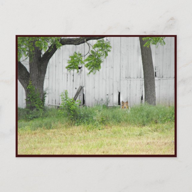 Cartão Postal ~ Primavera 36 ~ (Frente)