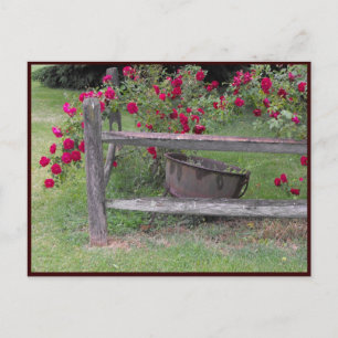 Cartão Postal ~ Primavera 42 ~