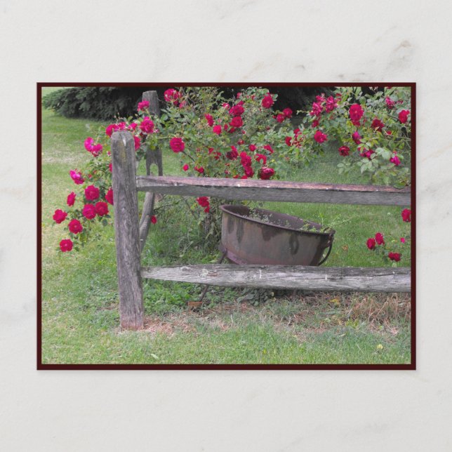 Cartão Postal ~ Primavera 42 ~ (Frente)