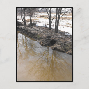 Cartão Postal ~ Primavera 56 ~