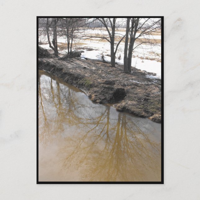 Cartão Postal ~ Primavera 56 ~ (Frente)