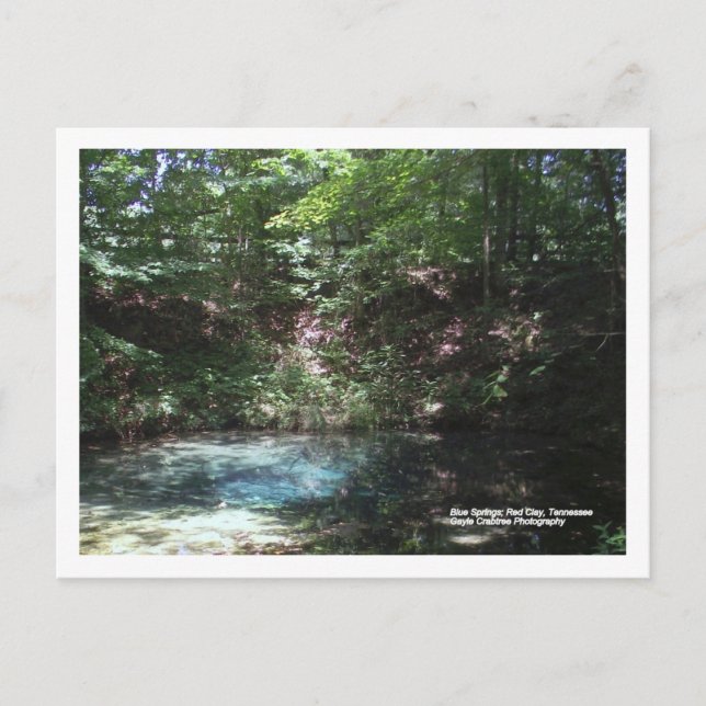Cartão Postal Primavera azul no Red Clay, Tennessee (Frente)