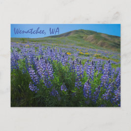 Cartão Postal Primavera Bloom em Sage Colinas Wenatchee, Washing