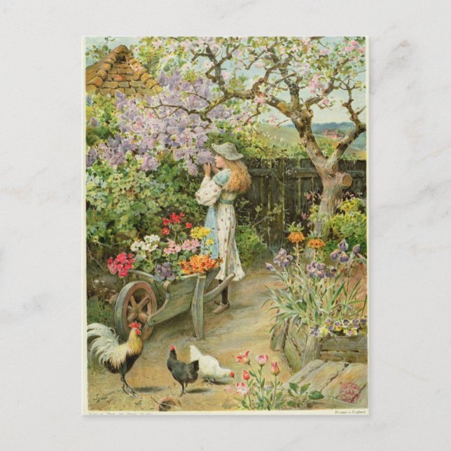 Cartão Postal Primavera Blossoms, do ano das peras, 1902 (Frente)