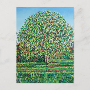 Cartão Postal Primavera de árvore arco
