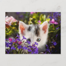 Cartão Postal Primavera de Gatinho