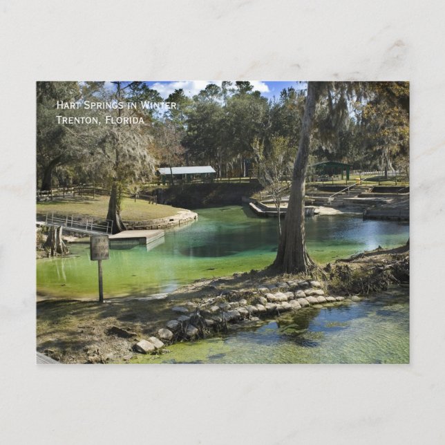 Cartão postal Primavera de inverno (Frente)