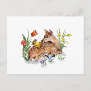 Cartão Postal Primavera Deer