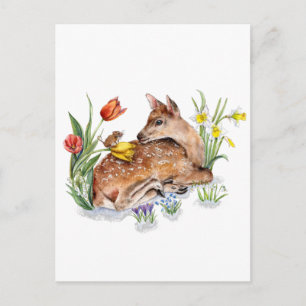 Cartão Postal Primavera Deer