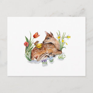 Cartão Postal Primavera Deer