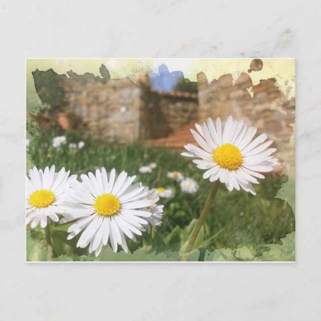 Cartão Postal Primavera.digitalArt. (Frente)