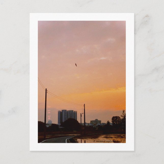 Cartão Postal primavera do pôr do sol da estrada (Frente)