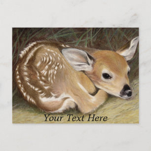 Cartão Postal Primavera Fawn