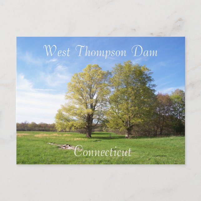 Cartão Postal Primavera Has Sprung (Frente)