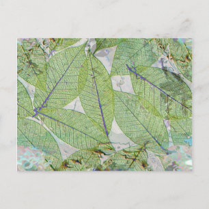 Cartão Postal Primavera Has Sprung