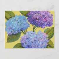 Primavera Hydrangeas I