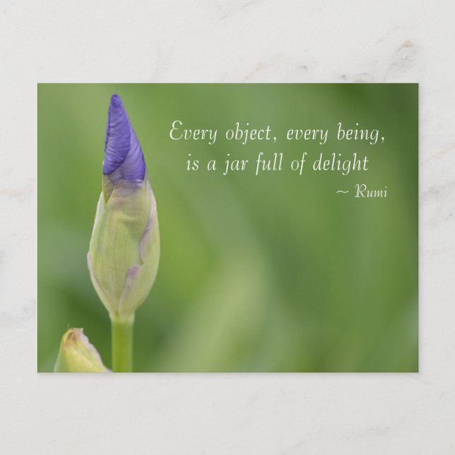 Cartão Postal primavera iris (Frente)