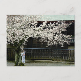 Cartão Postal Primavera japonês