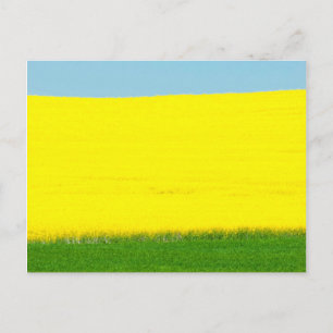 Cartão Postal Primavera Landscape Meadow