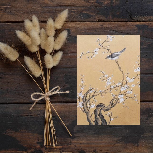 Cartão Postal Primavera Melody (Criador carregado)