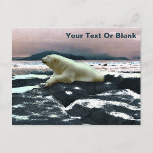 Cartão Postal Primavera Melt Polar Bear