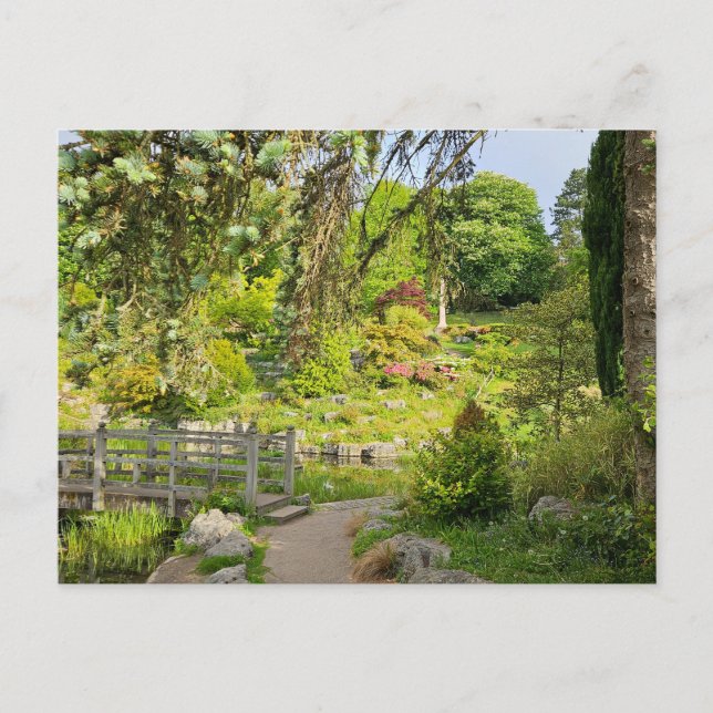 Cartão Postal Primavera Morning (Frente)