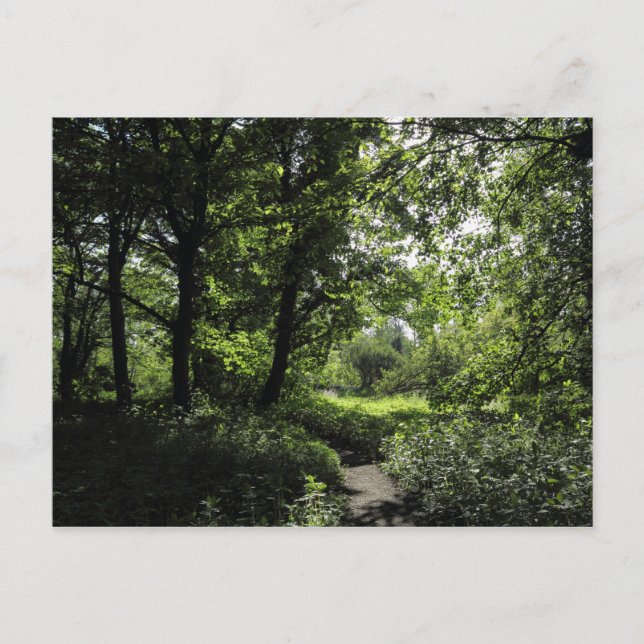 Cartão Postal Primavera no bosque 03 (Frente)