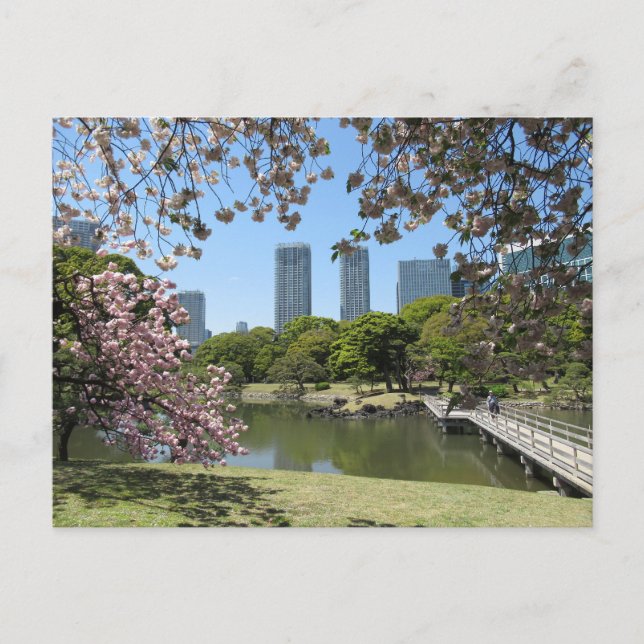 Cartão Postal Primavera no Hama-rikyu Gardens: Tóquio (Frente)