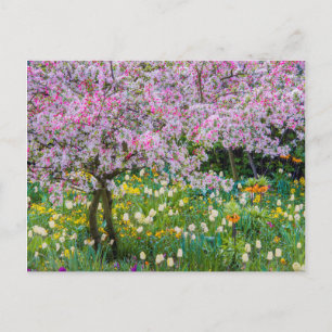 Cartão Postal Primavera no jardim de Claude Monet