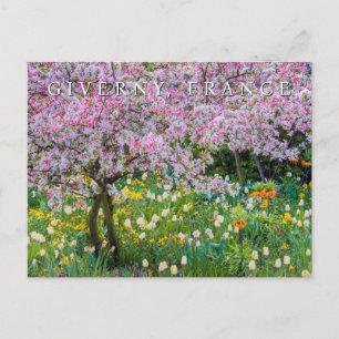 Cartão Postal Primavera no Jardim de Claude Monet   Obrigado