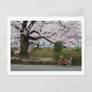 Cartão Postal Primavera no oeste de Tóquio