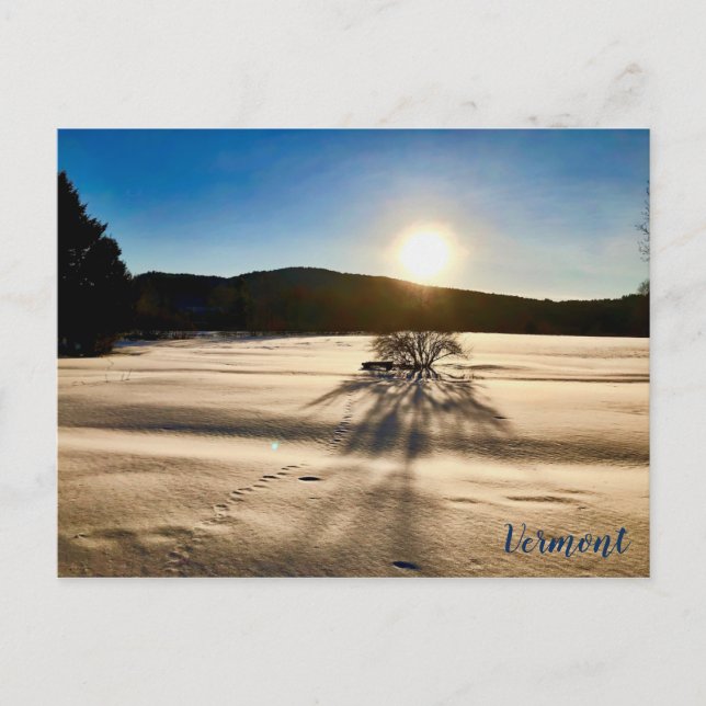 Cartão Postal Primavera parece estar longe (Frente)