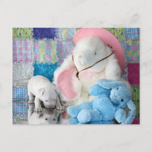 Cartão Postal Primavera Puppy Love