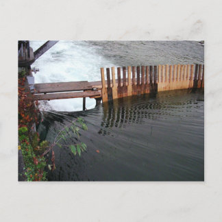 Cartão Postal Primavera Runoff