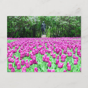 Cartão Postal Primavera Tulips no Cartão-Postal do Jardim Inglês