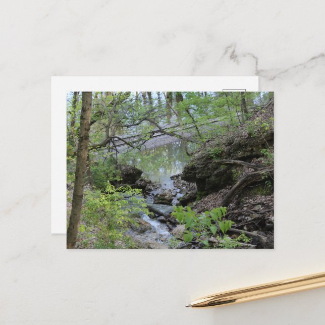 Cartão Postal Primaveras Black Hawk em Burlington, IA Down Hill (Frente/Verso In Situ)