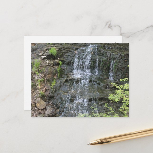 Cartão Postal Primaveras Black Hawk em Burlington, Iowa (Frente/Verso In Situ)