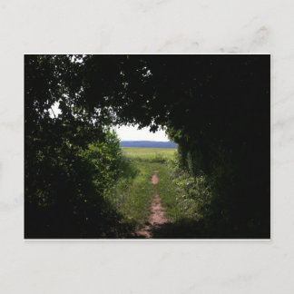 Cartão Postal primaveras de ebulição do rastro appalachiano