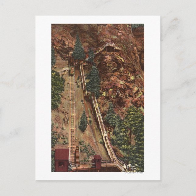 Cartão Postal Primaveras do Colorado, CO (Frente)