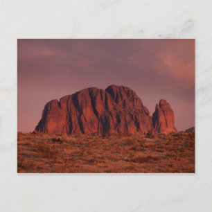 Cartão Postal Primaveras Dolan, Arizona