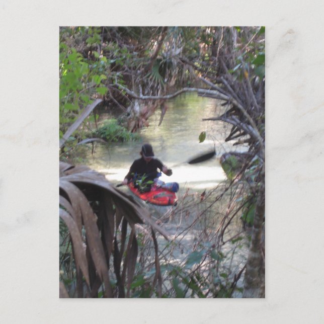 Cartão Postal Primaveras Juniper, Fl (Frente)