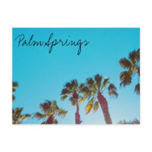 Primaveras Sunny Palm