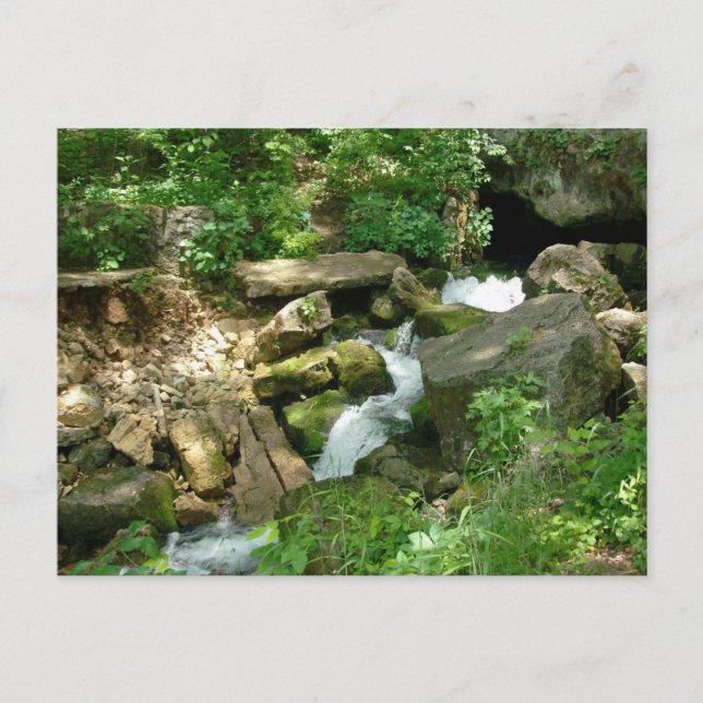 Cartão Postal Primaveras Turner (Frente)