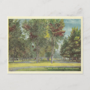 Cartão Postal Primaveras Vintage Colorado
