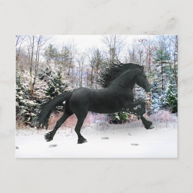 Cartão Postal "Primeira Corrida de Neve" (Frente)